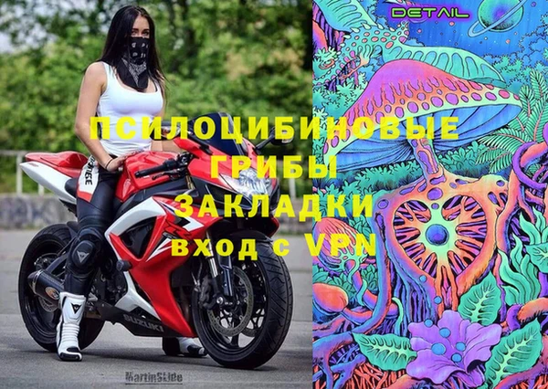 винт Ладушкин