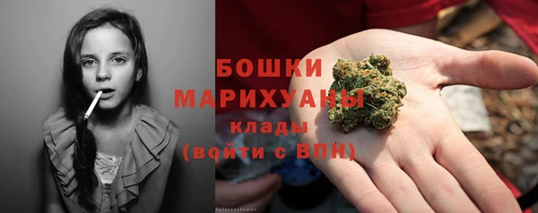 винт Ладушкин